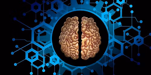 For ages 7-12: How the Brain Works