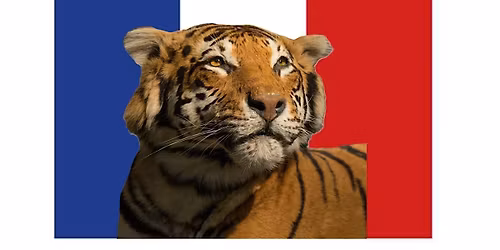 Zoology Museum Tour IN FRENCH