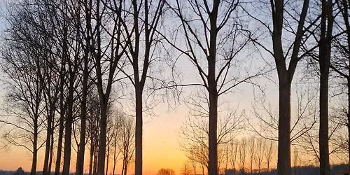 Marche aux Flambeaux avec les \u00e2nes dans le bois de Silly