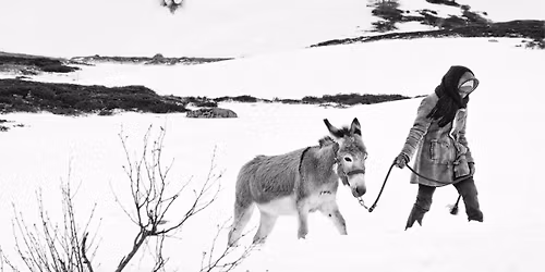 OPEN THE MIND #9 | Fortuna de Germinal Roaux