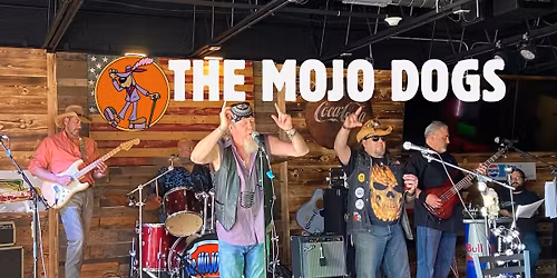 THE MOJO DOGS - LIVE @ THE BACKYARD BAR