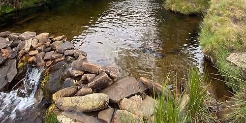 Woodlands Valley Waterfall Walk