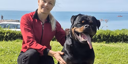 31 th Estonian Klubsieger 2026 rottweiler specialty show