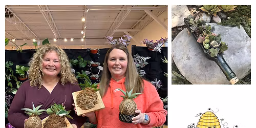 Workshop - Kokedama, Wine Bottle Planter & Wall Mounted Art