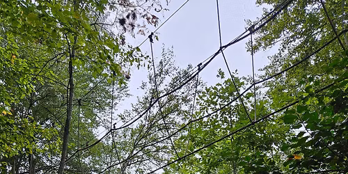 Aerial Adventure Course Now Available