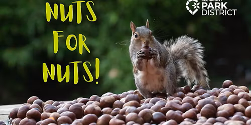 Nuts for Nuts!