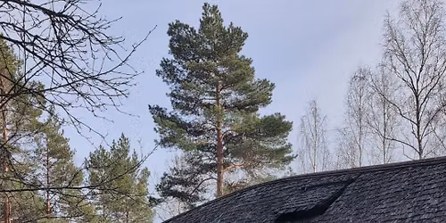 H\u00e4ng med mig p\u00e5 \u00c5rsunda vikingag\u00e5rd