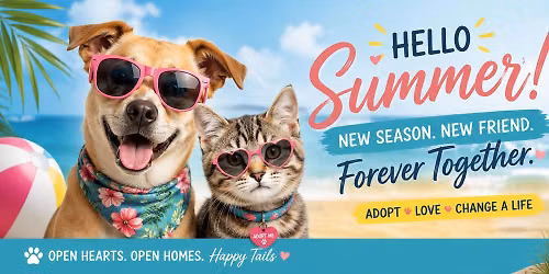 \u2600\ufe0f\ud83d\udc36 Dog Days of Summer \ud83d\udc31\u26f1\ufe0f