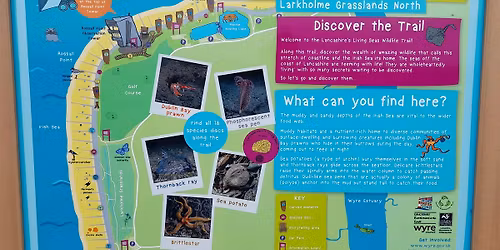 Lancashire's Living Seas Wildlife Trail Walk