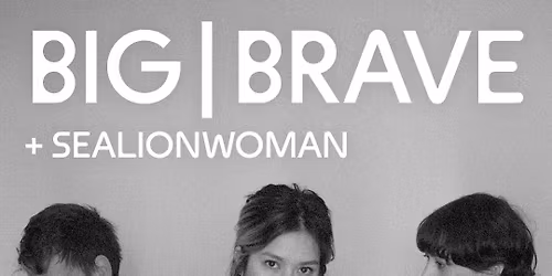 Big Brave + Sealionwoman