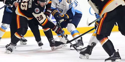 Toledo Walleye vs. Indy Fuel