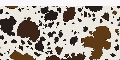 Saddle Games Series #5