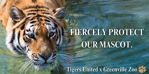 Fiercely Protect Our Mascot: Tigers United \u00d7 Greenville Zoo