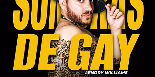 LAS 50 SOMBRAS DE GAY