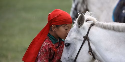 Ponies on the Plaza