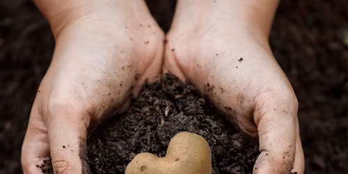 Baked Potato Popup at Lily\u2019s Dayton
