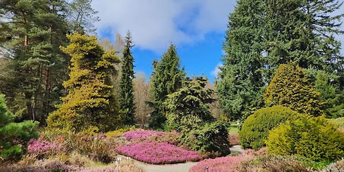  Guided Tour at VanDusen Botanical Garden: The Conifer Collection