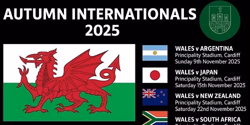 Rugby at Tredegar Cons - Wales v Japan