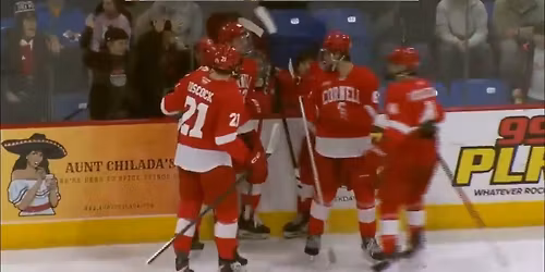 ECAC Men's Hockey Quarterfinals Game 3 - TBD at Cornell Big Red at Lynah Rink