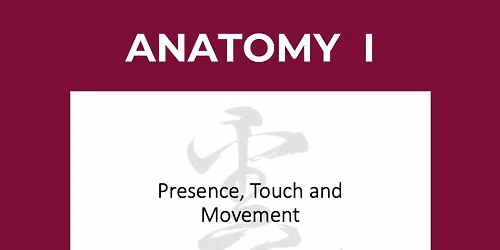 Anatomy I for Trager