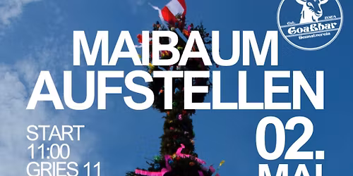 Maibaum aufstellen