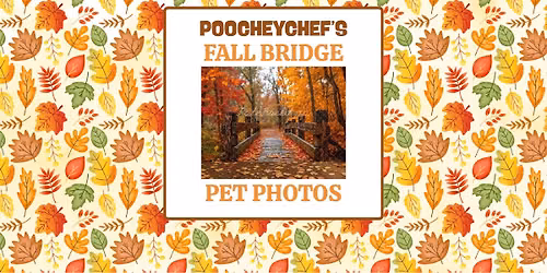 Fall Bridge Pet Photos at Poochey Chef! 