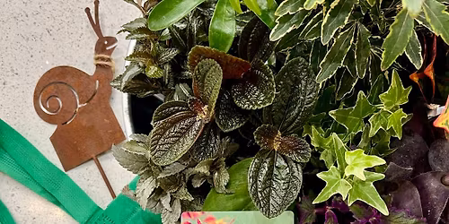 Earth Day 2026 at Copper Pony