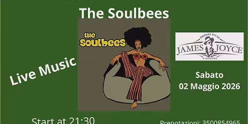 THE SOULBEES Live Music