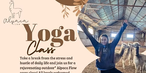 Alpaca Yoga