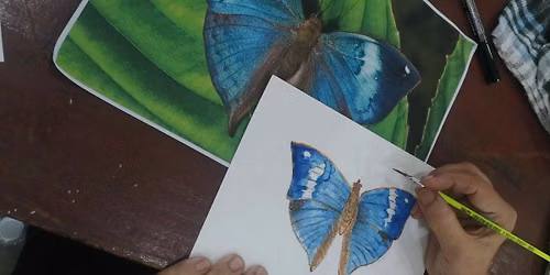 Butterfly Painting Workshop