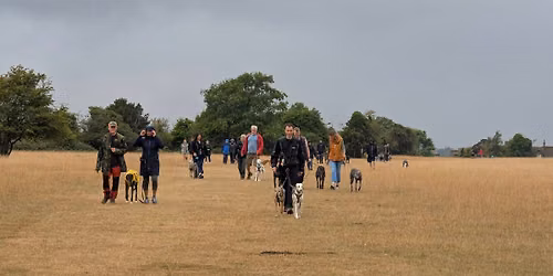 Gloucestershire Greyhound and Sighthound - Great Global Greyhound Walk