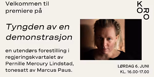 Pernille Mercury Lindstad: Tyngden av en demonstrasjon