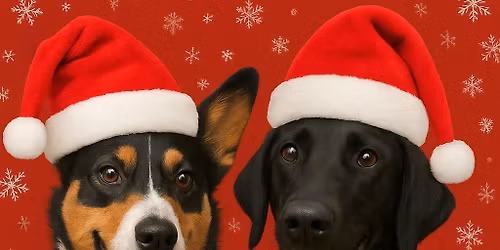 Holiday Photos with Opry and Pandia!