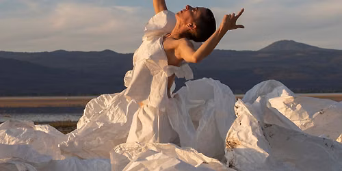 COLLABORATIVE SCREEN DANCE FILMS OF ANA BAER CARRILLO