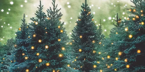 Funkel-Zauberwald Reform