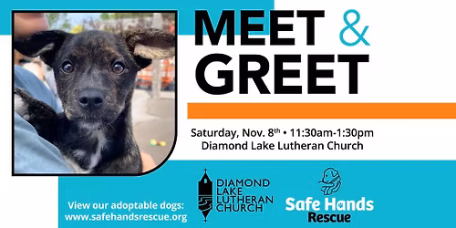 Safe Hands Rescue Meet & Greet at Diamond Lake Church