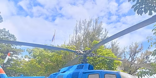 Annual Party (Games)