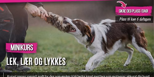 Lek, l\u00e6r og lykkes