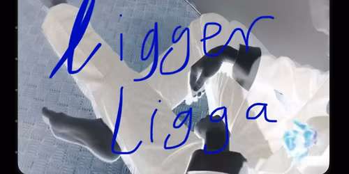 Ligger Ligga part 2 (Skogen, Gothenburg)