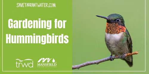 Gardening for Hummingbirds