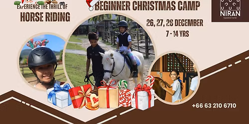 Christmas Horse Riding Beginner Camp