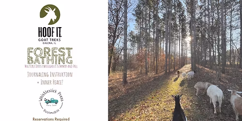 Forest Bathing