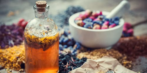 November Meetup: Herbal Teas for Winter Wellness