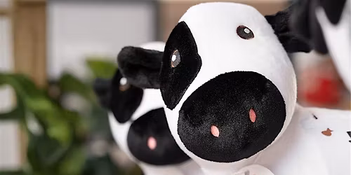 Adopt a Cow With Chick-fil-A Waynesboro