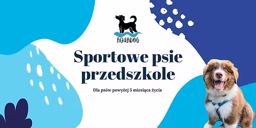 Sportowe psie przedszkole 