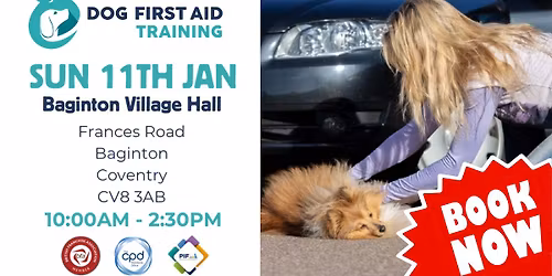 Baginton - Coventry Dog First Aid Training \ud83d\udc3e\u2764\ufe0f\u200d\ud83e\ude79