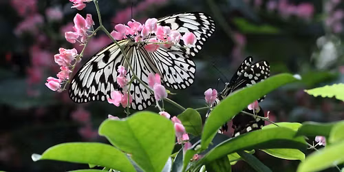 Moments and Memories: A Mother's Day Workshop