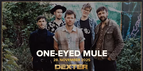 One-Eyed Mule - Dexter, Odense