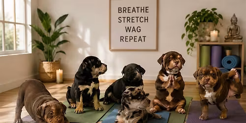 Yoga with Puppies