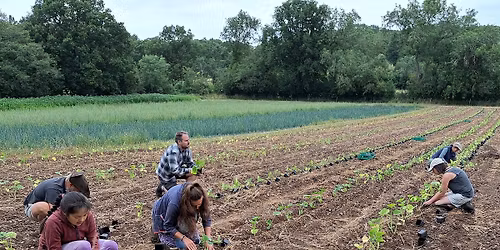 Saturday Land Team session